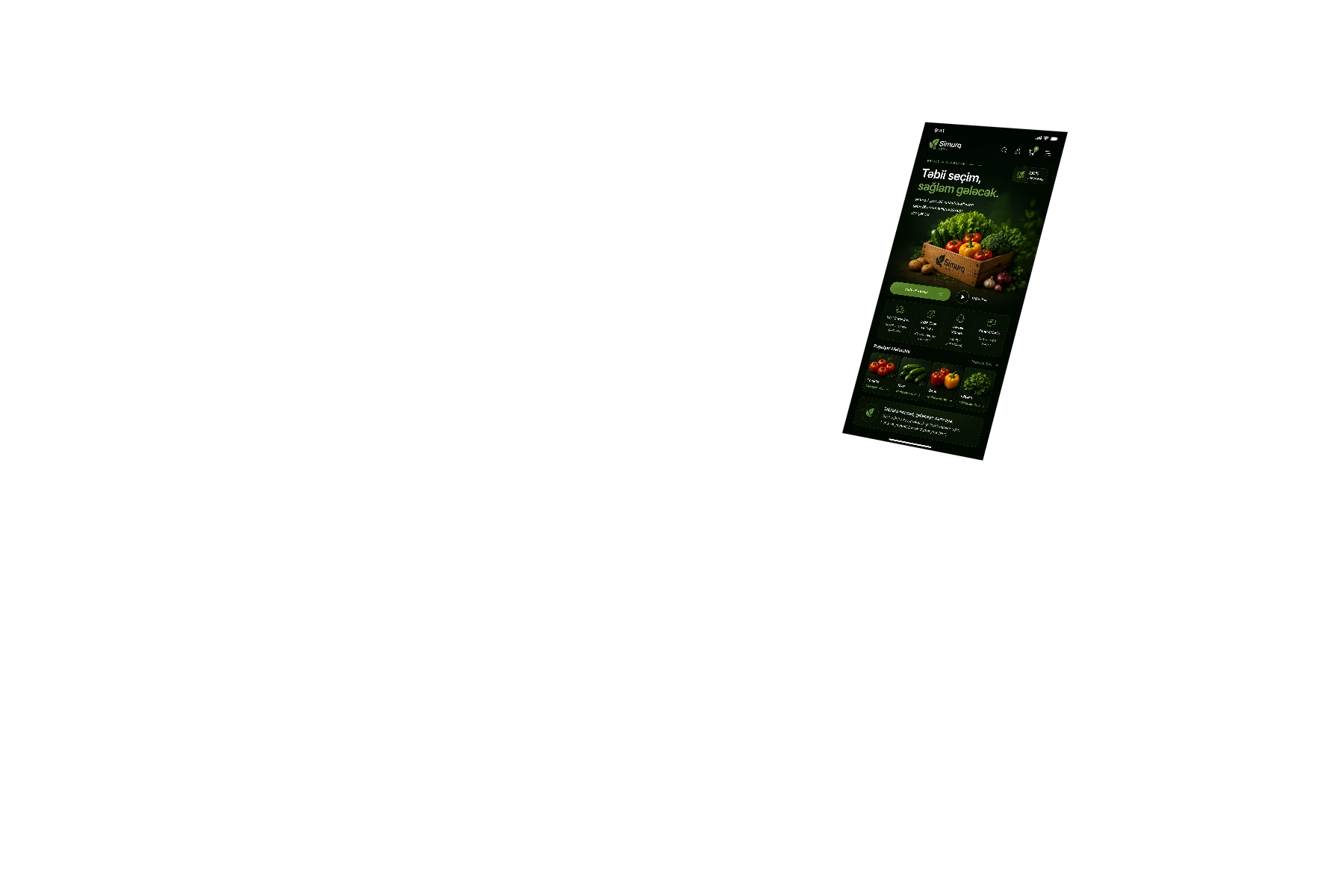 Website mobil interfeysi